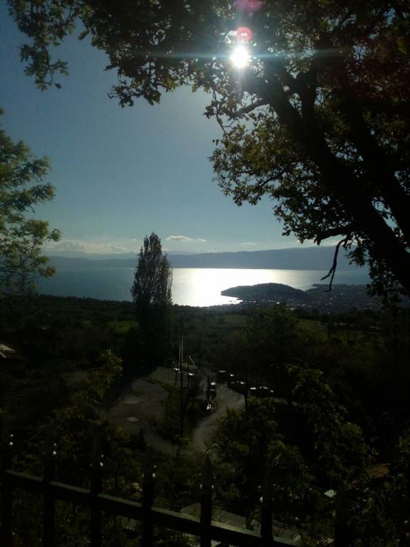 Villa & Apartments Petkoski Ohrid Bagian luar foto