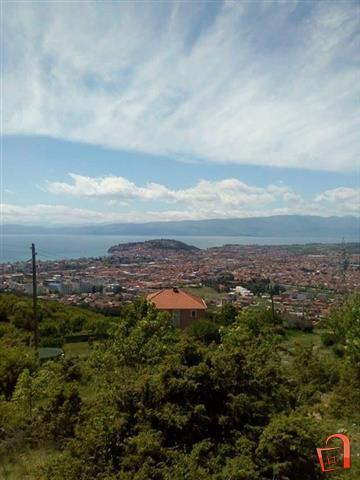 Villa & Apartments Petkoski Ohrid Bagian luar foto